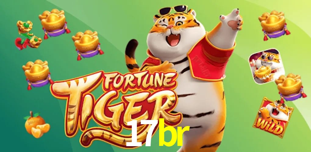 Bonus Features 17br